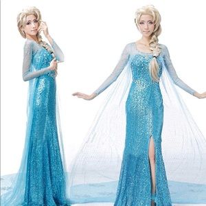 Elsa size Small adult/teen costume- NEW